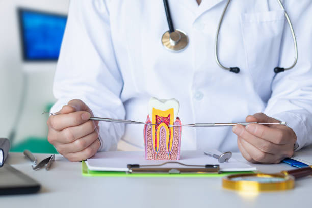 Best Emergency Root Canal Treatment in Prague, OK